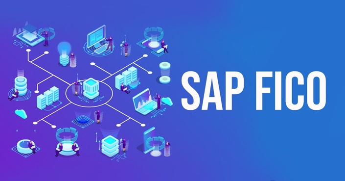 SAP fico on hana training institute