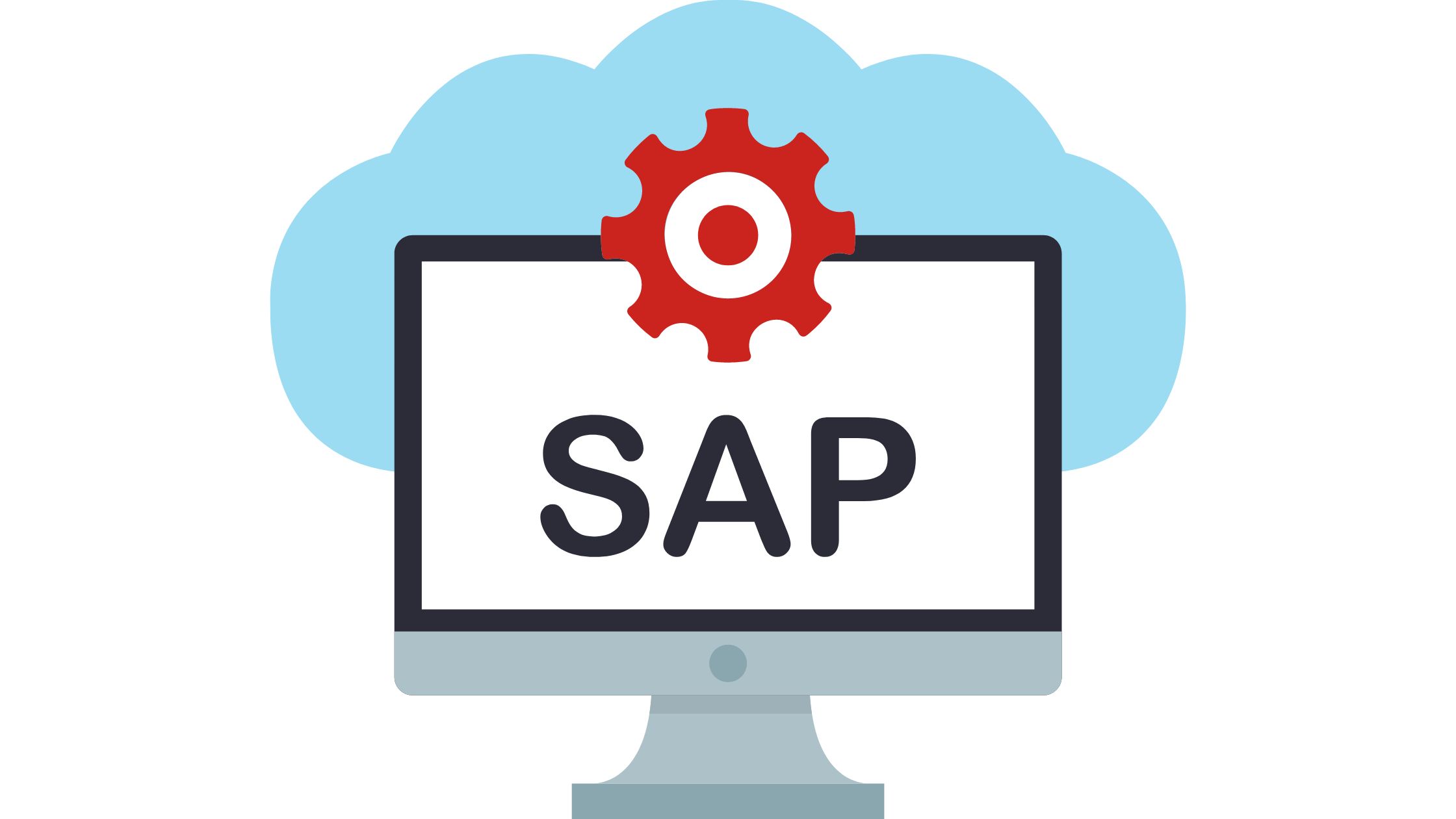 Overview of SAP PP