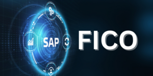 sap fico training and placement