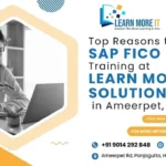 topTop-Reasons-to-Choose-SAP-FICO-Training-at-Learn-More-IT-Solutions-in-Ameerpet-Hyderabad